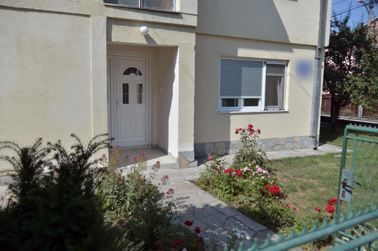 Affordable And Newly Renovated 1-Bedroom Apartment Kraljevo Exteriér fotografie
